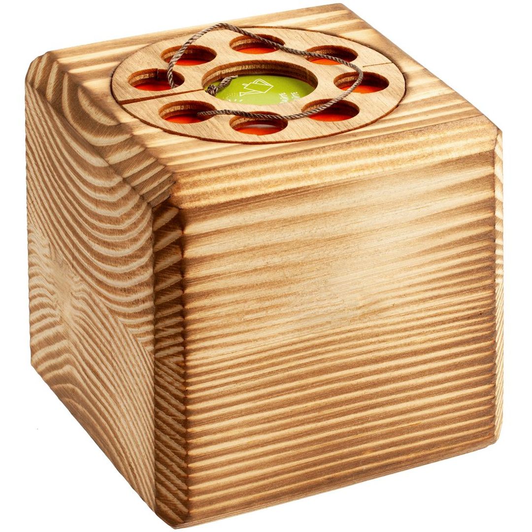 Набор для выращивания с органайзером Экокуб Burn (Ель голубая) Набор для выращивания с органайзером Экокуб Burn (Ель голубая)
