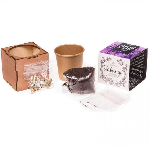 Набор для выращивания Лаванда