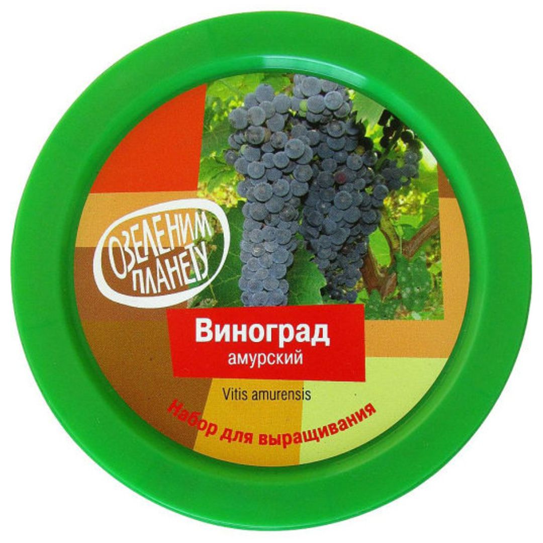 Набор для выращивания Виноград амурский