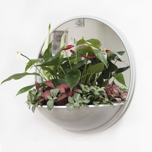 Цветочная композиция Антураж Цветочная композиция Антураж