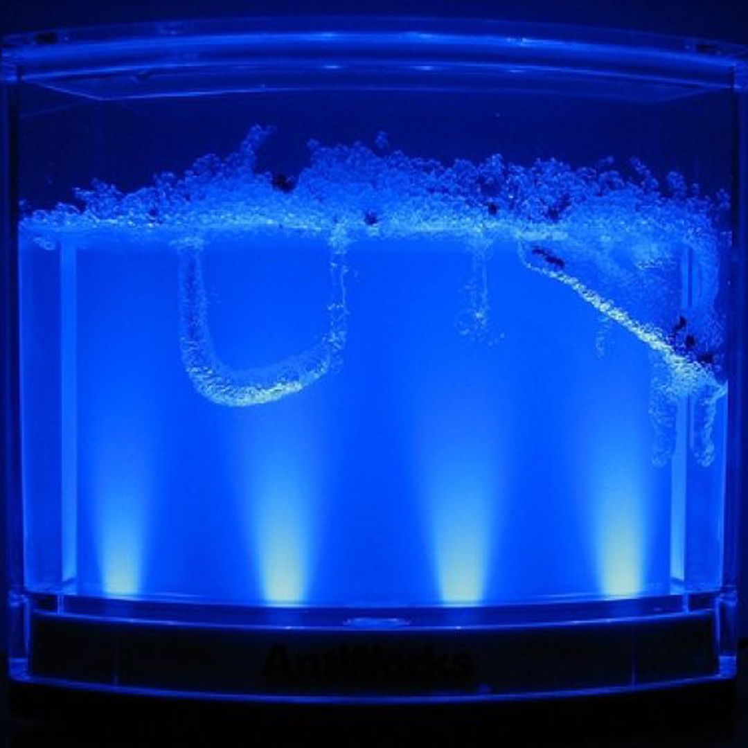 Муравьиная ферма с подсветкой Ant Space