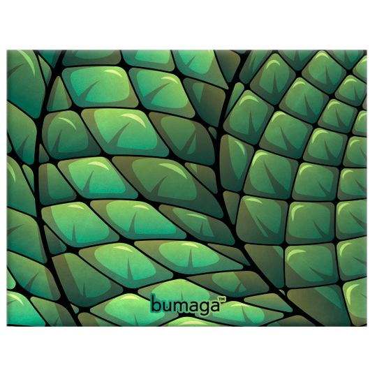 Обложка для студенческого билета Bumaga Slytherin