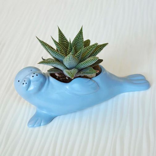 Кашпо Морской котик Suki The Seal Pup