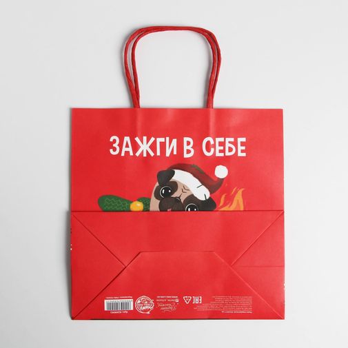 Подарочный пакет Зажги в себе (22 х 22 х 11 см)