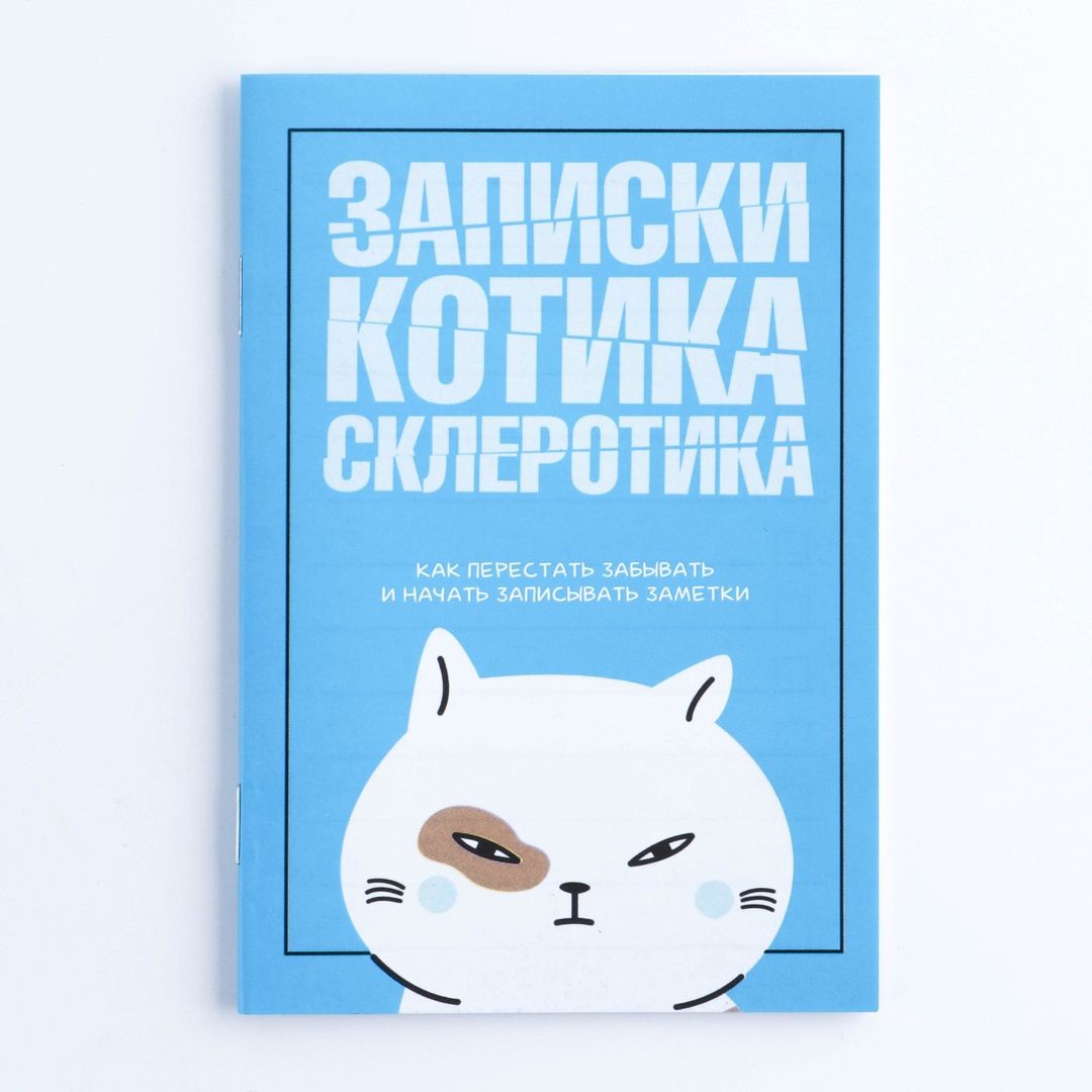 Блокнот Записки котика (А6)