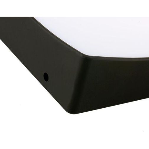 Волшебный лоток