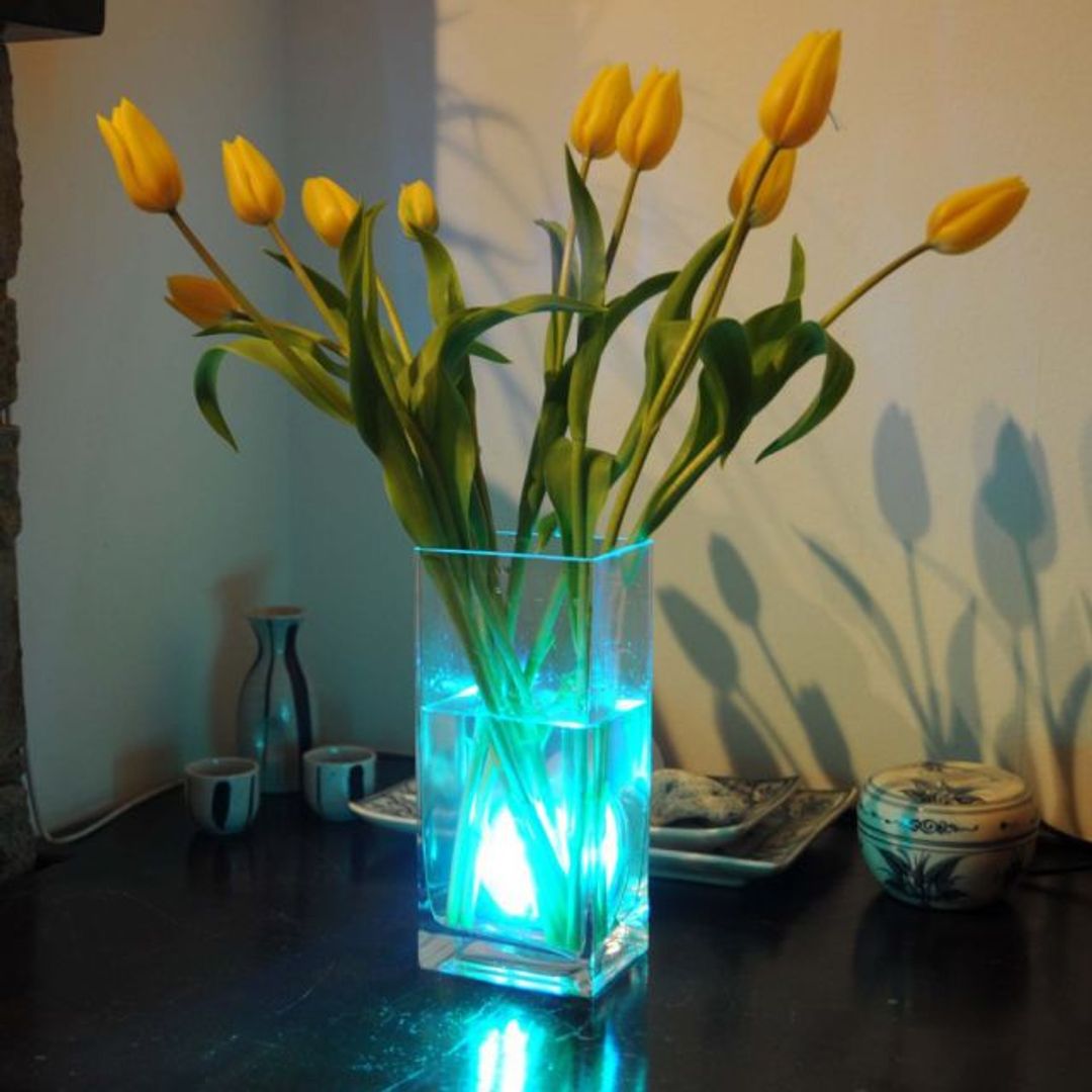 Водонепроницаемые лампы с пультами (4 шт.) Водонепроницаемые лампы с пультами (4 шт.)