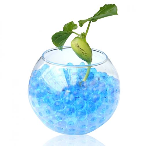 Магические бобы для друзей Магические бобы для друзей