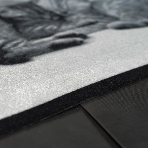 Коврик для входной двери Спящие котята