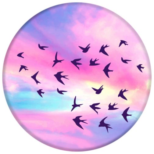 Попсокет Закат Попсокет Закат