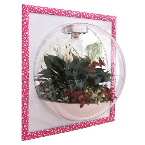 Настенный флорариум Flandriss Candy Настенный флорариум Flandriss Candy