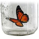 Бабочка в банке Оранжевая Монарх