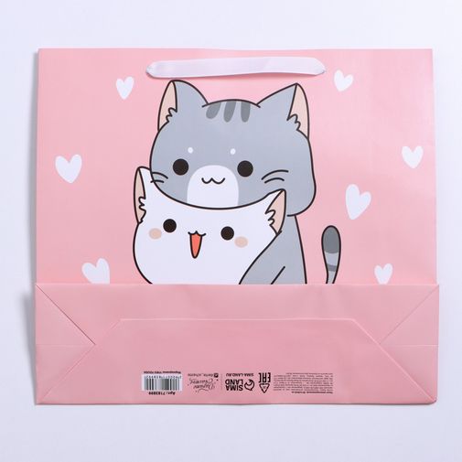 Подарочный пакет Киса (30 х 26 х 9 см) Подарочный пакет Киса (30 х 26 х 9 см)