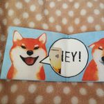 Кошелек New wallet New Sibainu Отзыв