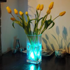 Водонепроницаемые лампы с пультами (4 шт.) Водонепроницаемые лампы с пультами (4 шт.)