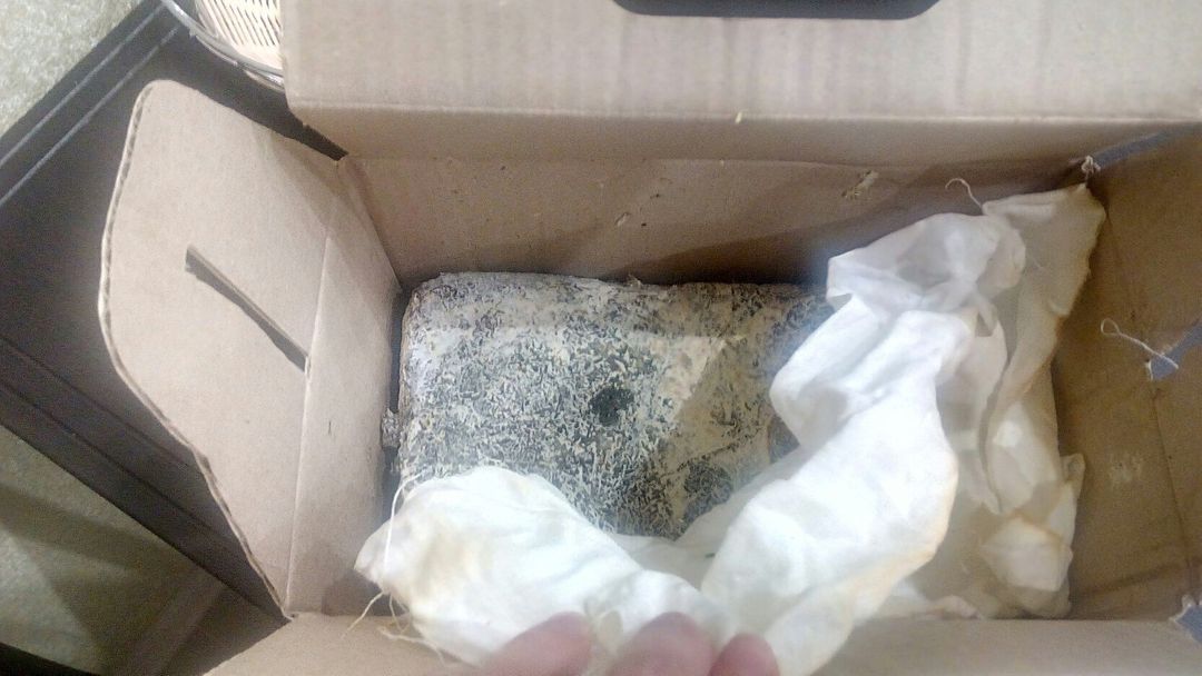 Фото покупателя Татьяна