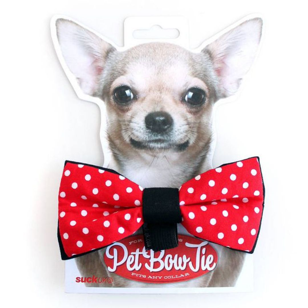 Галстук-бабочка для домашних питомцев Pet Bow Tie