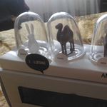 Набор для специй Животные Отзыв