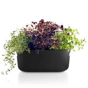 Кашпо с функцией самополива Self-watering Herb Organizer (Черный) (Черный)