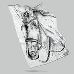 Плед Вороной Плед Вороной