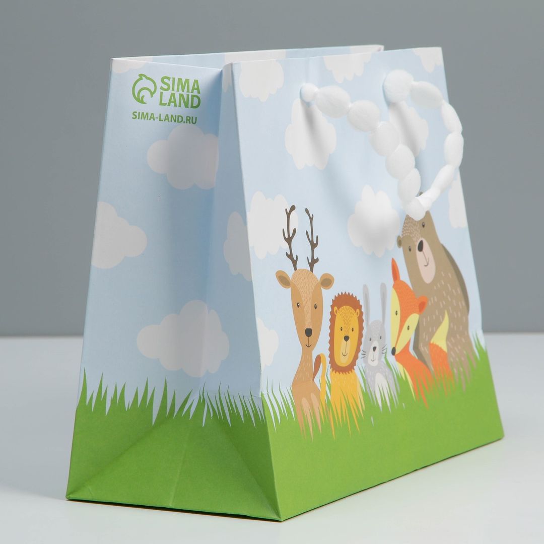 Подарочный пакет с пластиковым окном Friends (24 х 20 х 11 см) Подарочный пакет с пластиковым окном Friends (24 х 20 х 11 см)