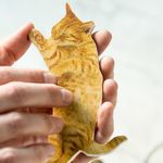 Пилочка для ногтей Котенок Perfect Nails Cat