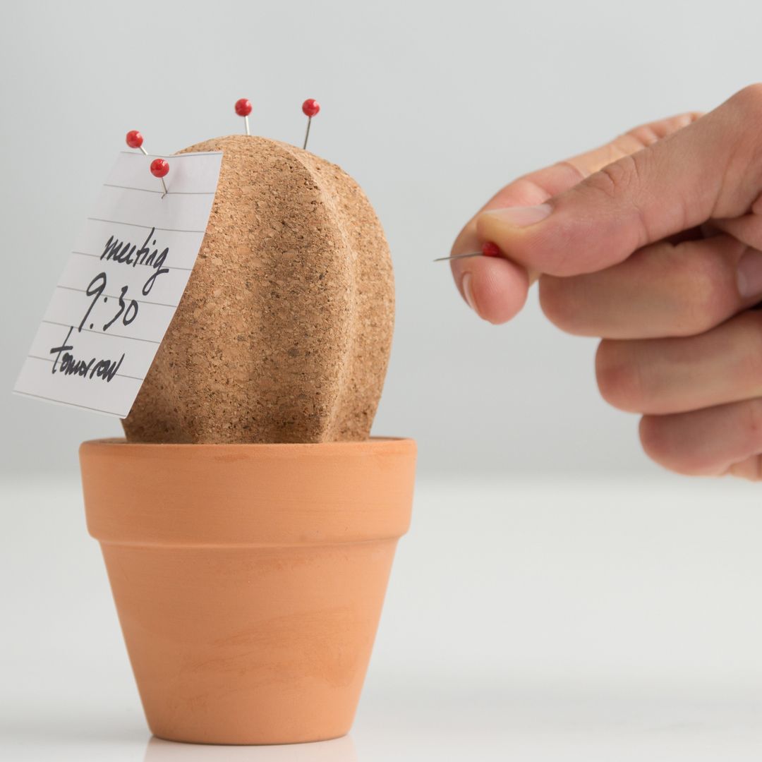 Настольный органайзер Кактус Cork Cactus