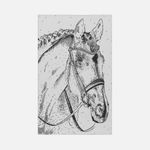 Плед Вороной Плед Вороной