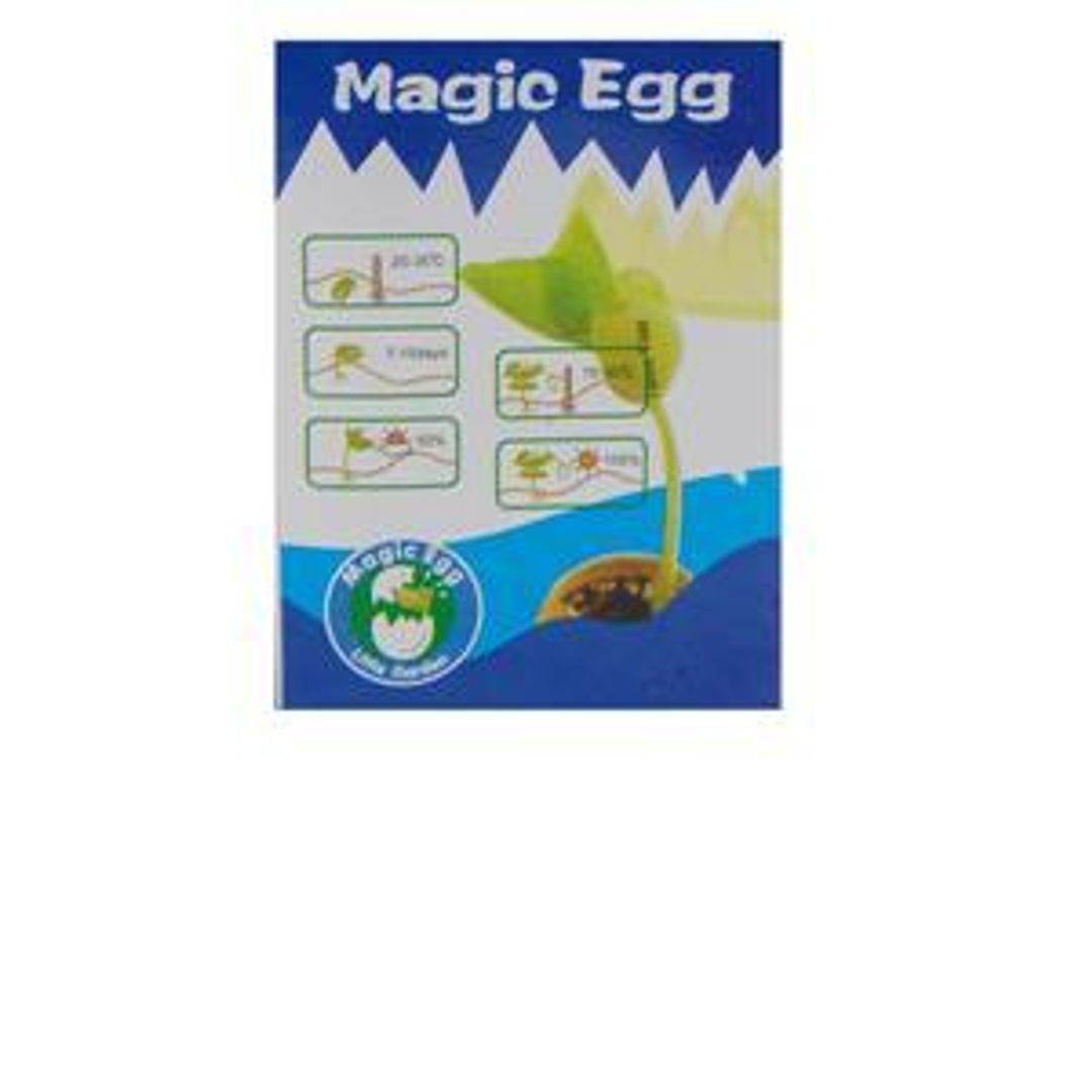 Магическое Яйцо Магическое Яйцо