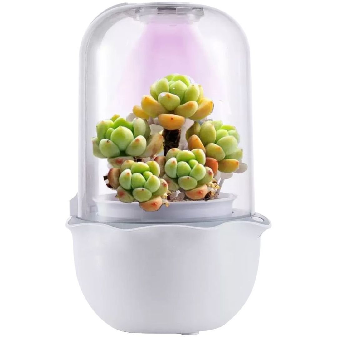 Умная теплица growUp Умная теплица growUp