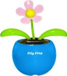 Цветок Flip Flap В Голубом горшочке