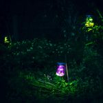 Светлячки в банке Firefly Jars (2 шт)