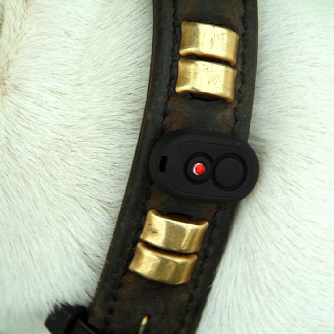 Устройство слежения Loc8tor Pet