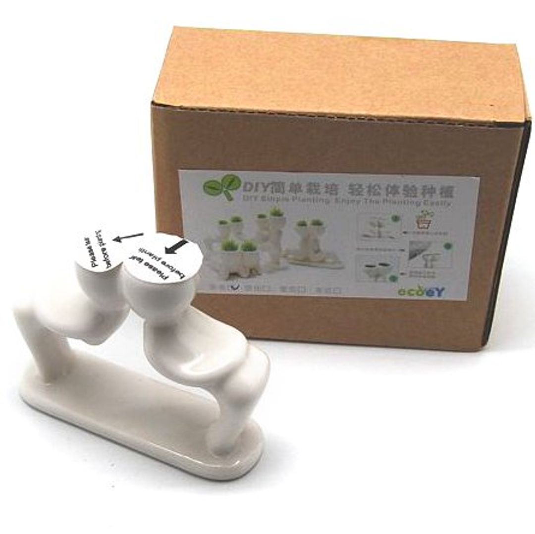 Оазис Kiss Оазис Kiss