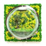 Настенный флорариум Flandriss Мох 3D