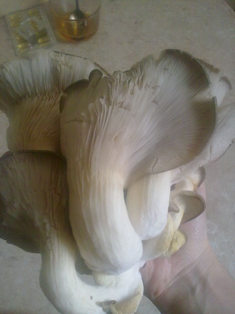 Фото покупателя Маргарита