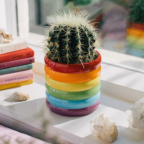 Горшок Rainbow Горшок Rainbow
