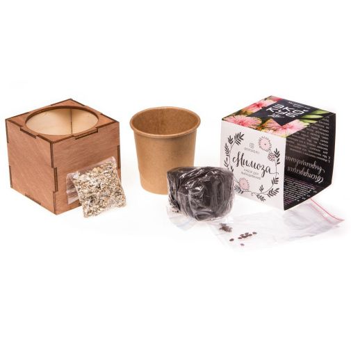 Набор для выращивания Мимоза