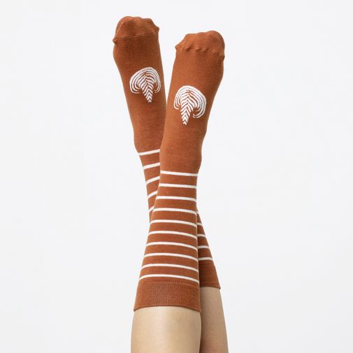 Носки Latte Caffe