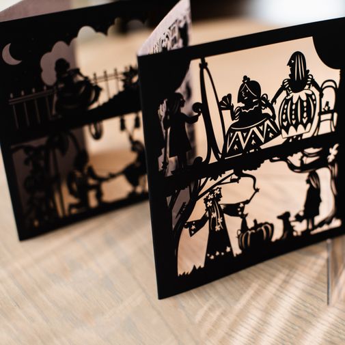 Книга Театр теней Золушка