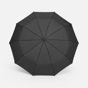 Зонт складной Regenfall (черный)