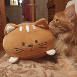 Подушка диванная Котенок Kitty Отзыв
