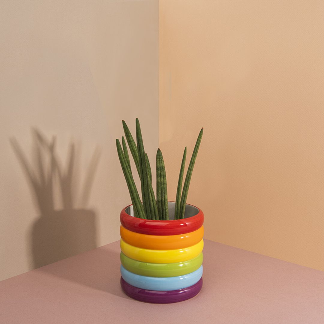 Горшок Rainbow Горшок Rainbow
