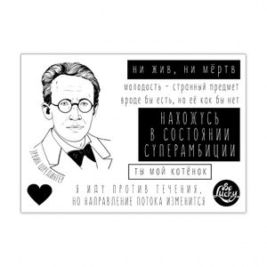 Стикерпак с Шредингером (набор наклеек)