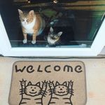 Коврик для входной двери 2 кота Welcome! (бежевый)