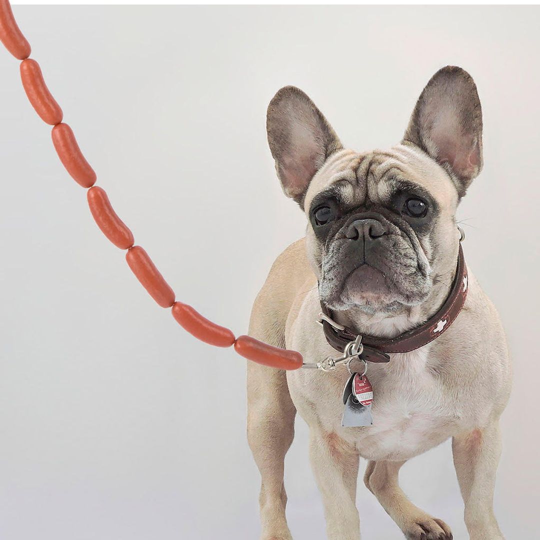 Поводок Сосиcки Hot dog Поводок Сосиcки Hot dog