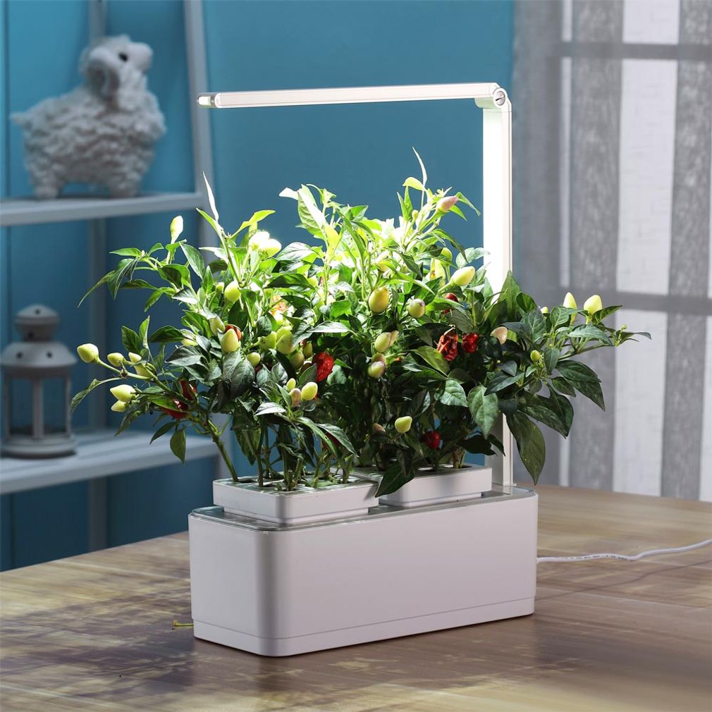 Умный сад для выращивания растений iGarden LED купить по цене 6 490 руб ...