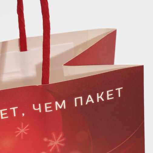 Подарочный пакет Защищенный Новый год (22 х 22 х 11 см) Подарочный пакет Защищенный Новый год (22 х 22 х 11 см)