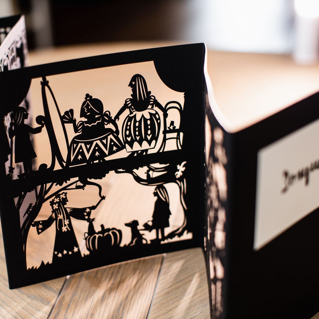 Книга Театр теней Золушка