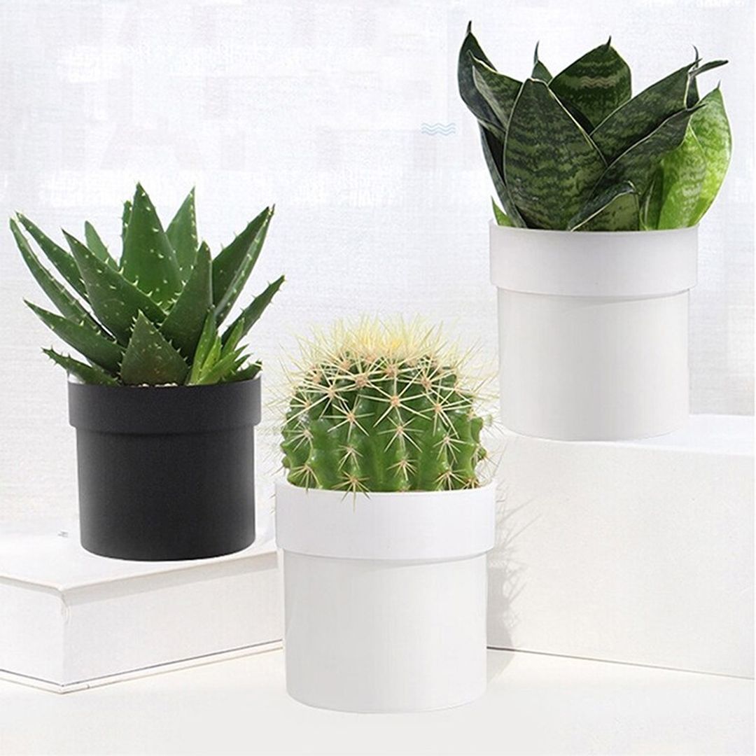 Сейф Цветочный горшок с тайником